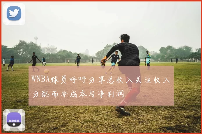 WNBA球员呼吁分享总收入关注收入分配而非成本与净利润